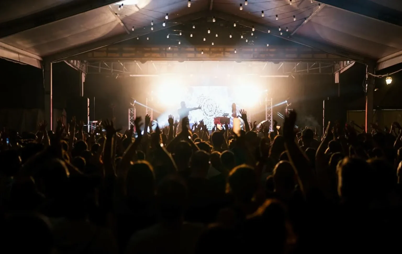 evergreen-fest-2025-torino-tesoriera